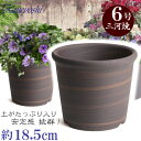 Sポット 6号 ブラウン 日本製 三河焼 植木鉢 陶器 おしゃれ 茶色 テラコッタ サイズ 18.5cm 安くて丈夫 父 母 家庭菜園 ガーデニング 高級感 おしゃれ ナチュラル 北欧 ガーデン 和風 アジアン テイスト プレゼント 安い 贈り物 シンプル 伝統 人気