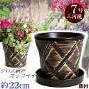 受皿付 植木鉢 陶器 ハーブのかおり ブラウン 7号 & KN受皿1229ブラウン付 サイズ 22cm 三河焼 鉢 陶器鉢 深型 おしゃれ 茶色 高級感 日本製 プランター 園芸資材 ガーデニング 大型 室内 屋内 屋外 日本製 かわいい 園芸用品 ベランダ 鉢植え 多肉植物 観葉植物 インテリア
