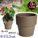 【訳あり特価】 ライフ 5号 モカ 植物にやさしい 15.5cm 三河焼 植木鉢 陶器 素焼き おしゃれ 陶器鉢 安くて植物に良い鉢 プランター 園芸資材 ガー...