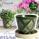受皿付 植木鉢 陶器 ハーブのかおり 5号 グリーン & KN受皿1178ベージュ付 サイズ 15cm 三河焼 鉢 陶器鉢 深型 おしゃれ 緑色 グリーン 高級感 日本製 園芸資材 ガーデニング 小型 室内 屋内 屋外 日本製 かわいい 園芸用品 ベランダ 鉢植え 多肉植物 観葉植物 インテリア