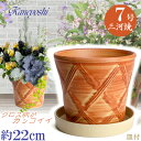 受皿付 植木鉢 陶器 ハーブのかおり 7号 オレンジ & KN受皿1228付 サイズ 22cm 三河焼 鉢 陶器鉢 深型 おしゃれ 橙色 高級感 日本製 プランター 園芸資材 ガーデニング 大型 小型 室内 屋内 屋外 日本製 かわいい 園芸用品 ベランダ 鉢植え 多肉植物 観葉植物 インテリア