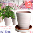 皿付き 植木鉢 陶器 フラワーロード 5号 ホワイトビスク MA受皿6号付 日本製 三河焼 植木鉢 陶器 おしゃれ サイズ 16cm 安くて丈夫 父 母 家庭菜...