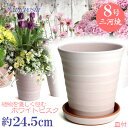 皿付き 植木鉢 陶器フラワーロード 8号 ホワイトビスク MA受皿7号付 日本製 三河焼 おしゃれ 植物に優しい サイズ 24cm 安くて丈夫 父 母 家庭菜園...