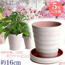 皿付き 植木鉢 陶器 フラワーロード 5号 ホワイトビスク MA受皿6号付 日本製 三河焼 植木鉢 陶器 おしゃれ サイズ 16cm 安くて丈夫 父 母 家庭菜...