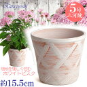 丈夫で長持ち 植木鉢 陶器 ハーブのかおり ホワイトビスク 5号 サイズ 15cm 三河焼 陶器鉢 深型 おしゃれ 高級感 日本製 プランター 園芸資材 ガーデニング 大型 小型 室内 屋内 屋外 日本製 …