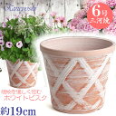 丈夫で長持ち 植木鉢 陶器 ハーブのかおり 6号 ホワイトビスク サイズ 19cm 三河焼 鉢 陶器鉢 深型 おしゃれ 白色 高級感 日本製 プラ..