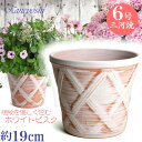 【訳あり特価】 丈夫で長持ち 植木鉢 陶器 ハーブのかおり ホワイトビスク 6号 サイズ 19cm 三河焼 鉢 陶器鉢 深型 おしゃれ 白色 高級感 日本製 プランター 園芸資材 ガーデニング 大型 小型 屋内 屋外 日本製 かわいい 園芸用品 ベランダ 多肉植物 観葉植物 インテリア