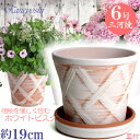 皿付き 植木鉢 陶器 ハーブのかおり 6号 ホワイトビスク MA受皿6号付 サイズ 19cm 三河焼 鉢 陶器鉢 深型 おしゃれ 白色 高級感 日本製 プランター 園芸資材 ガーデニング 大型 小型 室内 屋内 屋外 日本製 かわいい 園芸用品 ベランダ 鉢植え 多肉植物 観葉植物 インテリア