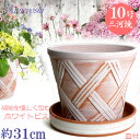 皿付 植木鉢 陶器 ハーブのかおり 10号 ホワイトビスク MA受皿10号 ホワイトビスク付 サイズ 31cm 三河焼 鉢陶器鉢 深型 おしゃれ 白色 高級感プランター 園芸資材 ガーデニング 大型 室内 屋内 屋外 日本製 かわいい 園芸用品 ベランダ 鉢植え 多肉植物 観葉植物 インテリア