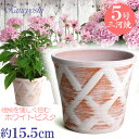 【訳あり特価】 丈夫で長持ち 植木鉢 陶器 ハーブのかおり ホワイトビスク 5号 サイズ 15cm 三河焼 陶器鉢 深型 おしゃれ 高級感 日本製 プランター 園芸資材 ガーデニング 大型 小型 室内 屋内 屋外 日本製 かわいい 園芸用品 父 母 家庭菜園 ナチュラル 北欧