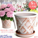 皿付き 植木鉢 陶器 ハーブのかおり 8号 ホワイトビスク MA受皿7号付 サイズ 25cm 三河焼 鉢 陶器鉢 深型 おしゃれ 白色 高級感 日本製 プランター 園芸資材 ガーデニング 大型 小型 室内 屋内 屋外 日本製 かわいい 園芸用品 ベランダ 鉢植え 多肉植物 観葉植物 インテリア