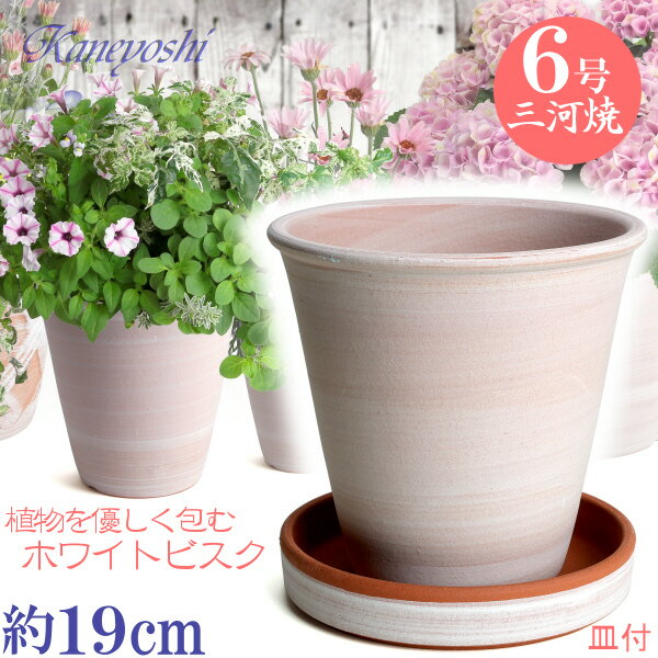 皿付き 植木鉢 陶器小春 6号 ホワイトビスク MA受皿6号付 サイズ 19cm 三河焼 白色 化粧土 陶器鉢 深型..