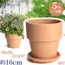 受皿付 ライフ 素焼 5号 & 足付受皿 5号 素焼 日本製 三河焼 植木鉢 陶器 おしゃれ クリスマスローズ 苗鉢 サイズ 16cm 安くて丈夫 父 母 家庭...
