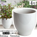 MGI12 ホワイト 4号 植木鉢 陶器 おしゃれ 白 サイズ 12cm 安くて丈夫 父 母 家庭菜園 ガーデニング 高級感 おしゃれ ナチュラル 北欧 ガーデ...