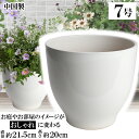 MGI22 ホワイト 7号 植木鉢 陶器 おしゃれ 白 サイズ 21cm 安くて丈夫 父 母 家庭菜園 ガーデニング 高級感 おしゃれ ナチュラル 北欧 ガーデ...