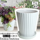 MIQ220 7号 ホワイト & 受皿MEQ210 ホワイト 植木鉢 陶器 受皿付 おしゃれ 白 サイズ 22cm 父 母 家庭菜園 ガーデニング 高級感 ナチ...