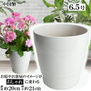 MBC19 ホワイト 6.5号 植木鉢 陶器 おしゃれ 白 サイズ 20cm 安くて丈夫 父 母 家庭菜園 ガーデニング 高級感 おしゃれ ナチュラル 北欧 ガ...