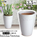 【訳あり特価】 植木鉢 陶器 おしゃれ サイズ 11.5cm ロイヤルローズポット ホワイト 3.5号