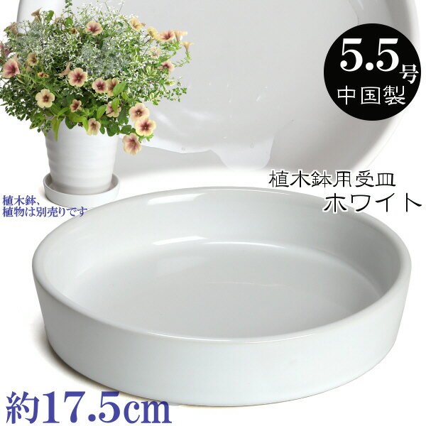 植木鉢用受皿 陶器 おしゃれ サイズ　17cm　KN1170　5．5号　ホワイト