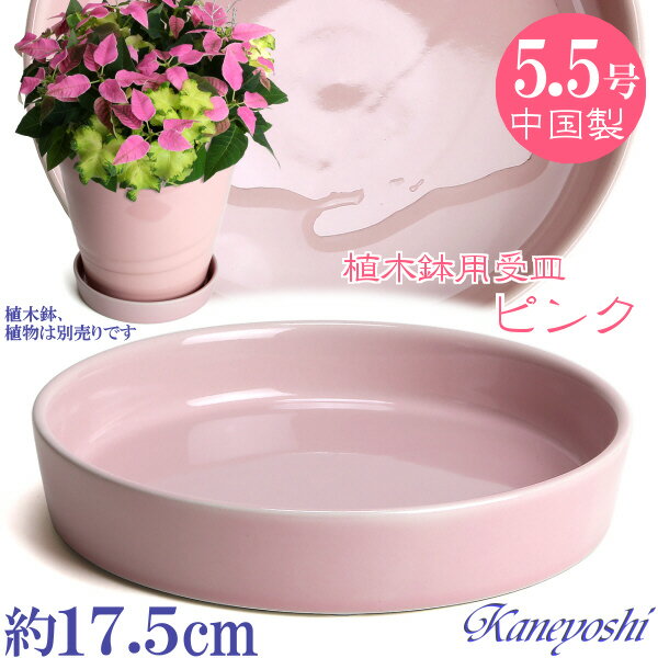 植木鉢用 皿 桃 陶器 おしゃれ サイズ 17cm KN1173 さくらピンク 5．5号