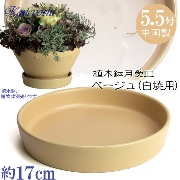 植木鉢用受皿 陶器 おしゃれ サイズ 17cm KN1178 5．5号 ベージュ