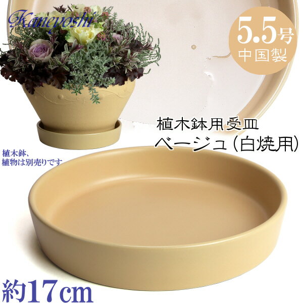 植木鉢用受皿 陶器 おしゃれ サイズ　17cm　KN1178　5．5号　ベージュ