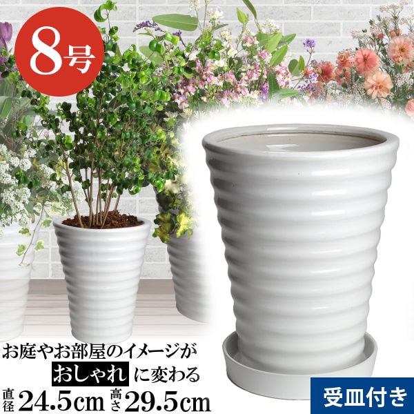 楽天市場】8号 陶器鉢 白の通販