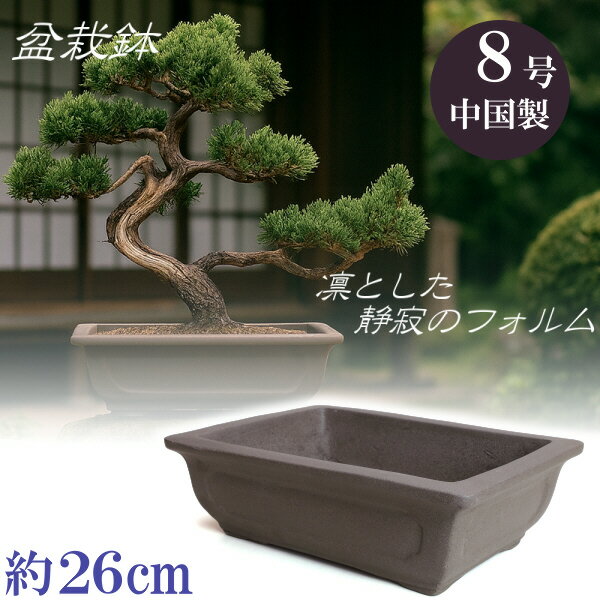 盆栽 盆栽鉢 陶器 8号 ウ泥 長角 Bonsai 長方形 松竹梅 五葉松 黒松 紅葉 さつき しだれ 桜 長寿梅 入門 おしゃれ 中国製 四角 浅型 中型 大型 雑木 植木鉢 サイズ 26cm