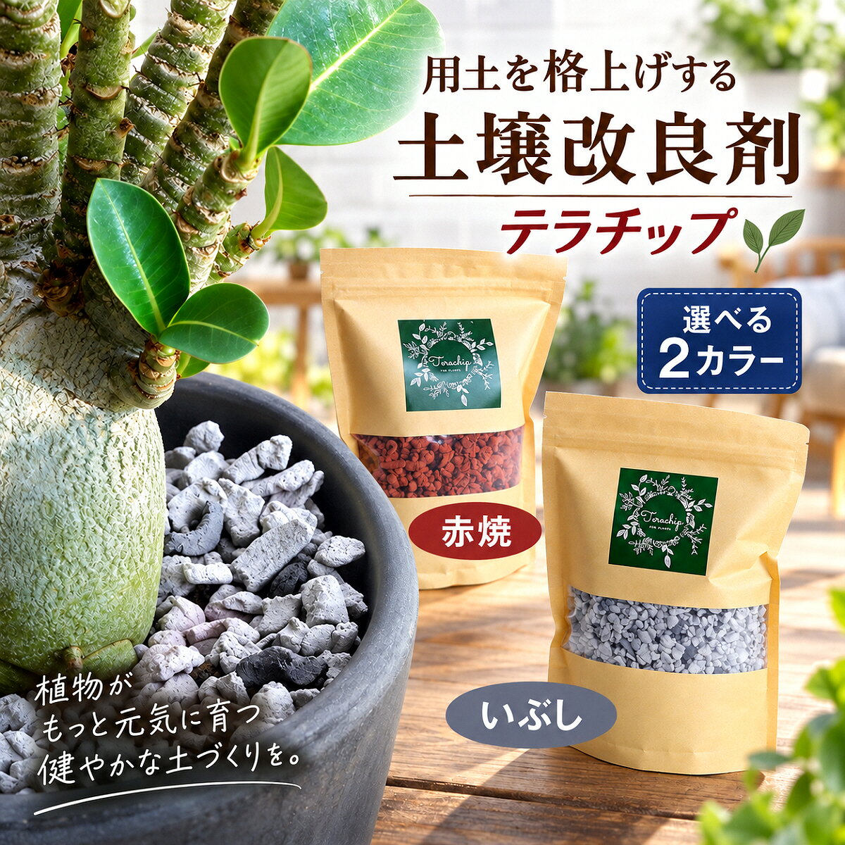 【用土を格上げする】 【土壌改良剤】 ●　商品名　● 　テラチップ M 赤焼 600ml ●　商品の説明　● ● テラチップ 赤焼 　色はいぶしと赤焼の2種類あります。 　いぶしは テラチップ M いぶし 600mlをご覧ください。 ● 酸化焼成です。焼成しているので色落ちしません。 三河の赤土から生まれた「テラチップ」 テラチップは、三河の赤土を使用し、 独自の成形技術でつくられています。 内部には微細な孔を多く持たせながら、 外側の孔はできるだけ少なくなるように成形。 その後、高温で酸化焼成することで、 成形後、テラチップ独自の多孔質構造に仕上げています。 内部に広がる、たくさんの微細な孔 テラチップの大きな特徴は、内部にある無数の微細な孔です。 この多孔質構造により、水分を適度に含みながら、 空気にも触れやすい環境をつくります。 植物の根にとって大切な「水分」と「空気」の バランスを考えた、植物にやさしい構造です。 外側の孔を少なくした独自形状 内部には微細な孔を多く、外側にはできるだけ少なく。 外側の孔を抑えることで、 水分が必要以上に逃げにくい形状を目指しました。 「水を含むこと」と「乾きすぎを抑えること」。 その両方を考えてつくられたのが、テラチップです。 土と火から生まれる、自然素材 原料は三河の赤土。 高温の酸化焼成によって焼き上げた陶器素材なので、 植物のまわりにも自然になじみます。 三河の土と、焼き物づくりの技術から生まれたテラチップ。 植物を育てる環境を、土の中からやさしくサポートします。 ⇒培養土・園芸資材シリーズ　■　店長のどっちゃんからお客様に　■ 　 テラチップの使い方 ■植木鉢の土に、用土の20〜30％を目安にテラチップを加え、 　よく混ぜ合わせて使用します。植え付け後は、 　一度鉢底から流れ出るまでたっぷりと水を与えてください。 ■また、土の表面に敷くマルチング材としても使用でき、 　見た目をすっきりと整えることができます。 　さらに、ハイドロカルチャー用の植え込み材として、 　テラチップだけで植物を育てることもできます。 　 　