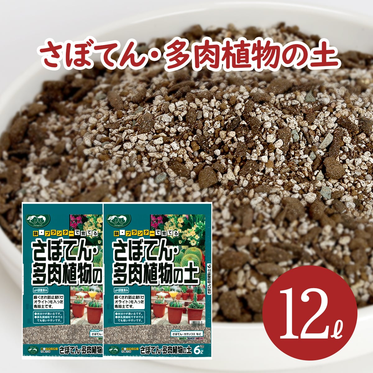 サボテン 多肉植物の土 12L (6L×2袋) pH調整済み サボテンの土 多肉 用土 軽石 赤玉土 バーミキュライト ゼオライト 配合 根腐れ 水はけ 保肥力 サボテン 多肉植物 専用 土 室内 小分け ガーデニング資材【鉢・プランターで育てる さぼてん・多肉植物の土】