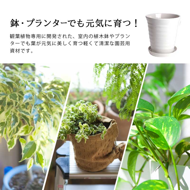 葉色が良くなる 観葉植物の土 小分け 2L (1L×2袋) 元肥入り pH調整済み 観葉植物用 土 パーク堆肥 ピートモス ココピート 赤玉土 鹿沼土 軽石 水はけ 保肥力 土 室内 小分け ガーデニング資材 【鉢・プランターで育てる 観葉植物の土】
