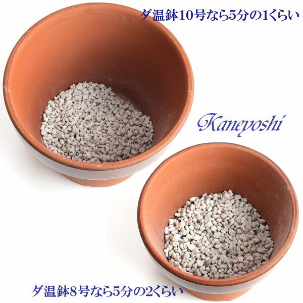 �Ȥ��ڤ� ȭ����� ���� ��γ 1��5��åȥ�