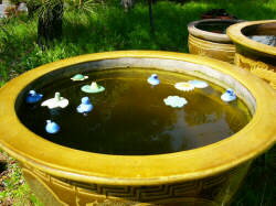 水に浮かぶ陶器 フロート フィシュ