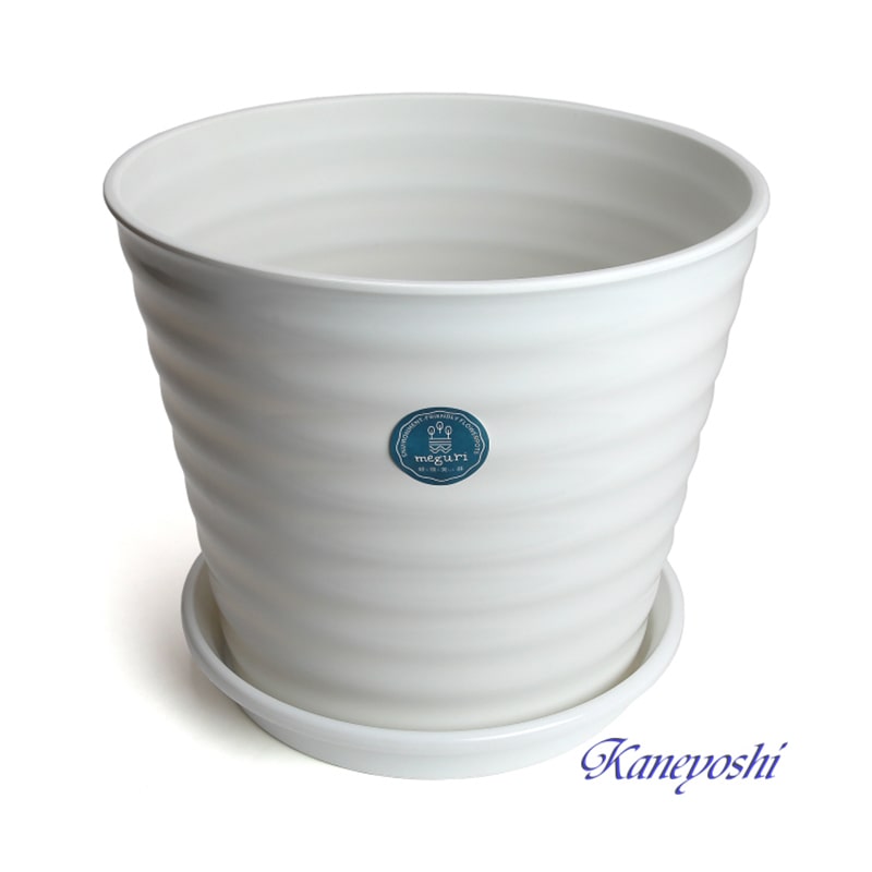 �� �Ķ��ˤ䤵�����ڤ��ƾ��� �� ���� ����ȭ ������ �ץ饹���å� 30cm ����ץ� 10�� �饤���ۥ磻�� �ݷ� ���� ����ȭ ������� �緿 �ץ饹���å� ƫ��ȭ�� ƫ��ȭ �Τ褦�� �ץ饹���å�ȭ �礭�� ���� �� ����ץ� ��Ĺ �ڤ� ���襤�� ���տ�ʪ ���� ����