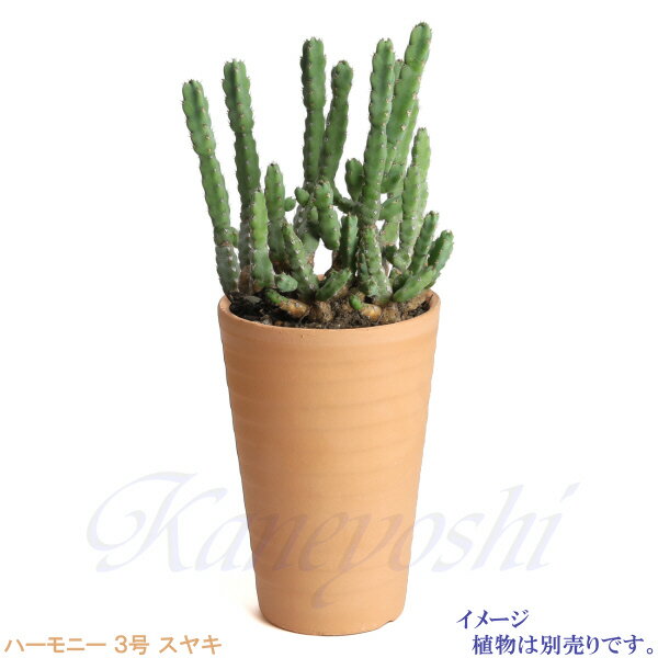 【訳あり特価】 ハーモニー 素焼 3号 受皿は別売りです 日本製 三河焼 植木鉢 陶器 おしゃれ クリスマスローズ 苗鉢 白 サイズ 10cm 安くて丈夫 父 母 家庭菜園 ガーデニング 高級感 おしゃれ ナチュラル 北欧 ガーデン 和風 アジアン テイスト プレゼント 安い シンプル