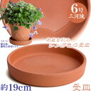 MA受皿 植木鉢用 赤焼 6号 鉢皿 ソーサー おしゃれ 日本製 三河焼 植木鉢 陶器 サイズ 19cm レンガ色 テラコッタ 安くて丈夫 受け皿 家庭菜園 ガ...