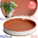 植木鉢用 MA受皿 8号 ホワイトビスク 鉢皿 ソーサー おしゃれ 日本製 三河焼 植木鉢 陶器 サイズ 25cm ピンク色 テラコッタ 安くて丈夫 受け皿 家...
