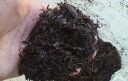 天然発酵カブトムシ腐葉土マット約5L袋(10袋まで同梱包可能)
