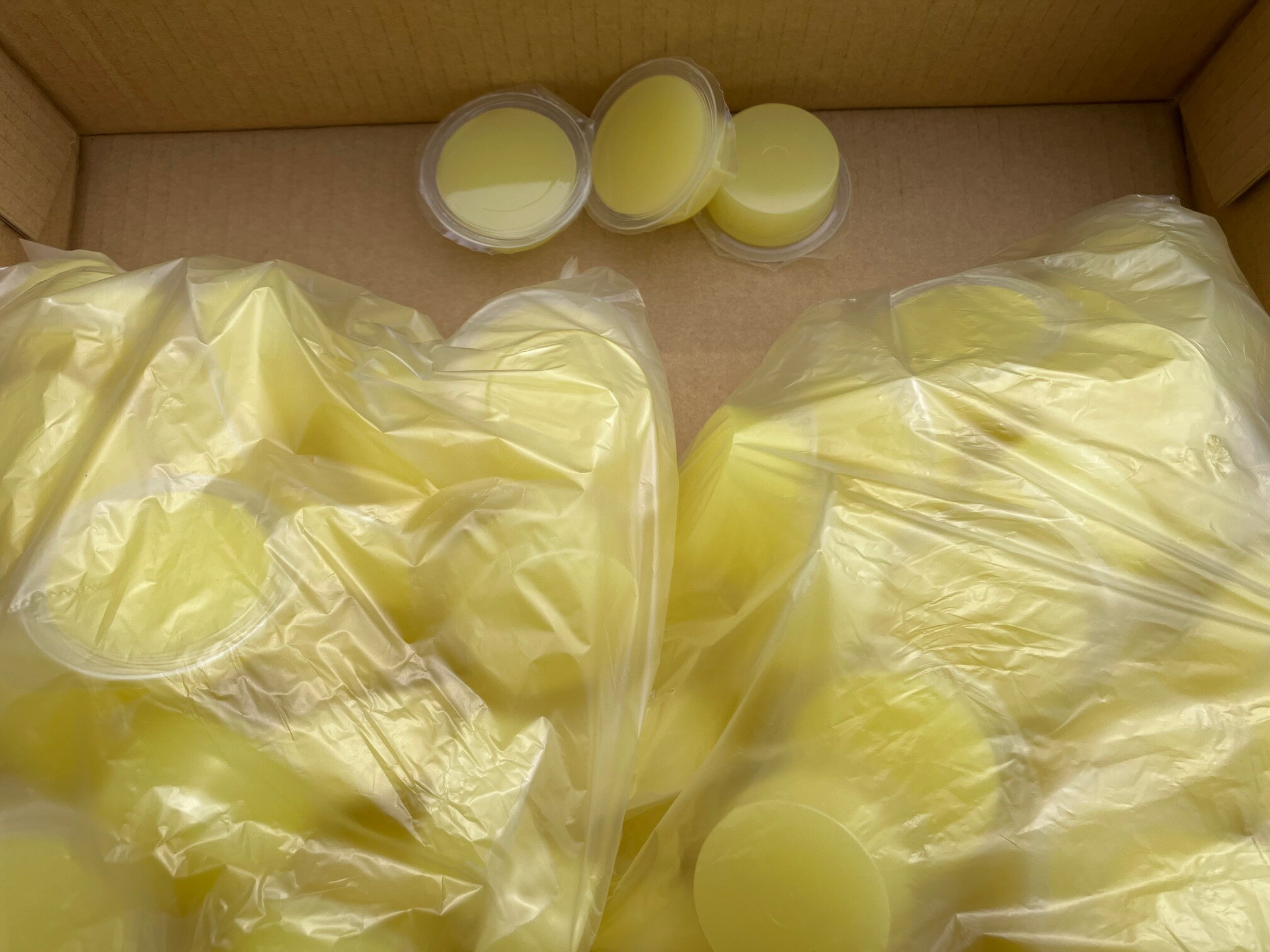 お勧めの昆虫ゼリー ワイド型 17g イエロー100個セット（送料込み・一部地域は別途送料）