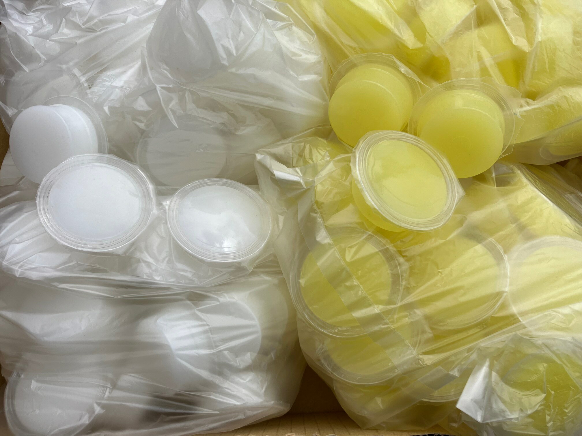 お勧めの昆虫ゼリー ワイド型 17g ホワイト50個＋イエロー50個の100個セット（送料込み・一部地域は別途送料）