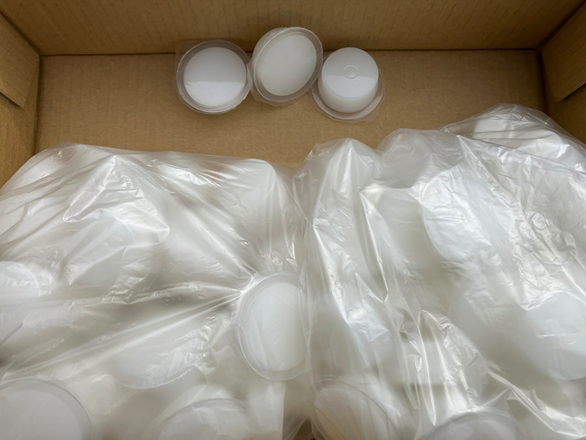 お勧めの昆虫ゼリー ワイド型 17g 100個セット（送料込み・一部地域は別途送料）