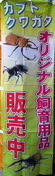 虫部屋などのインテリアに！　のぼり（緑旗）「飼育用品販売中」