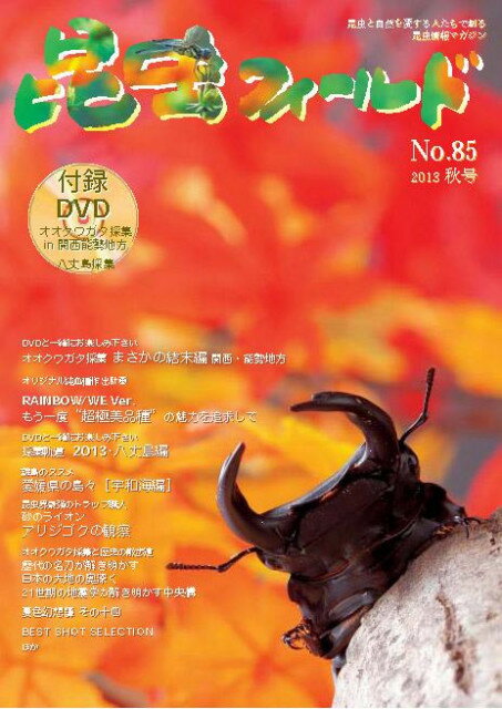 ☆販売中☆　昆虫フィールド 85号（DVD付・秋号）　送料込み！！
