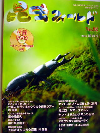 ☆販売中☆　昆虫フィールド 92号（DVD付・新春号）　 送料込み ！！