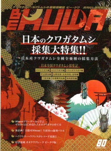 BE-KUWA 80号（送料無料）　 ビークワ80号　送料込み