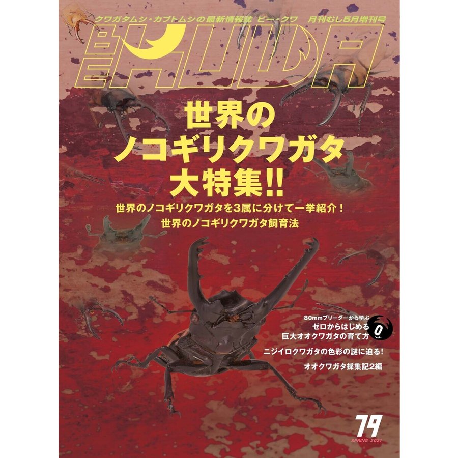 BE-KUWA79号(送料無料)★ポイント7倍★ビークワ79号送料込み