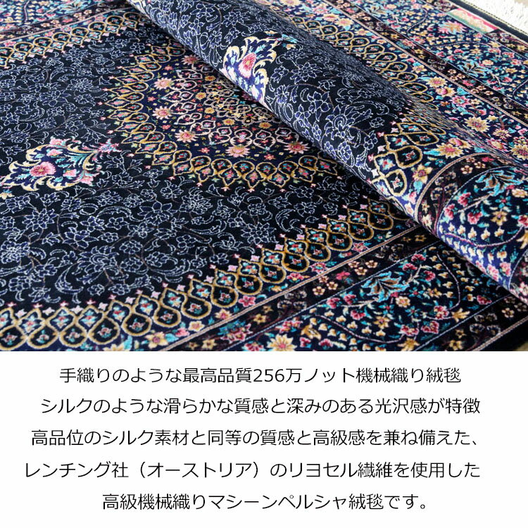 ペルシャデザイン 高級玄関マット《Premium Line RD-16055 60×90cm 》"ハイエンド256万ノット。シルクテイスト 滑らかタッチ マシンペルシャ高級絨毯 機械織りペルシャ絨毯 [3]