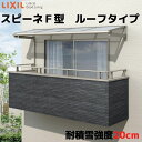 テラス屋根 柱なしタイプ スピーネ リクシル 間口3000×出幅885mm ルーフタイプ 屋根F型 耐積雪対応強度20cm リフォーム DIY