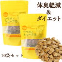 犬 体臭 口臭 消臭 おやつ オヤツ ダイエット 犬用 サプリメント 送料無料 ドッグフード お試しセット フラボノキューブ 100g 10袋セット 近畿大学と共同開発 国産 ドッグフード