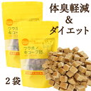 犬 口臭 体臭 消臭 おやつ オヤツ ダイエット 犬用 サプリメント メール便送料無料 ドッグフード お試しセット フラボノキューブ 100g 2袋セット 近畿大学と共同開発 国産 ドッグフード